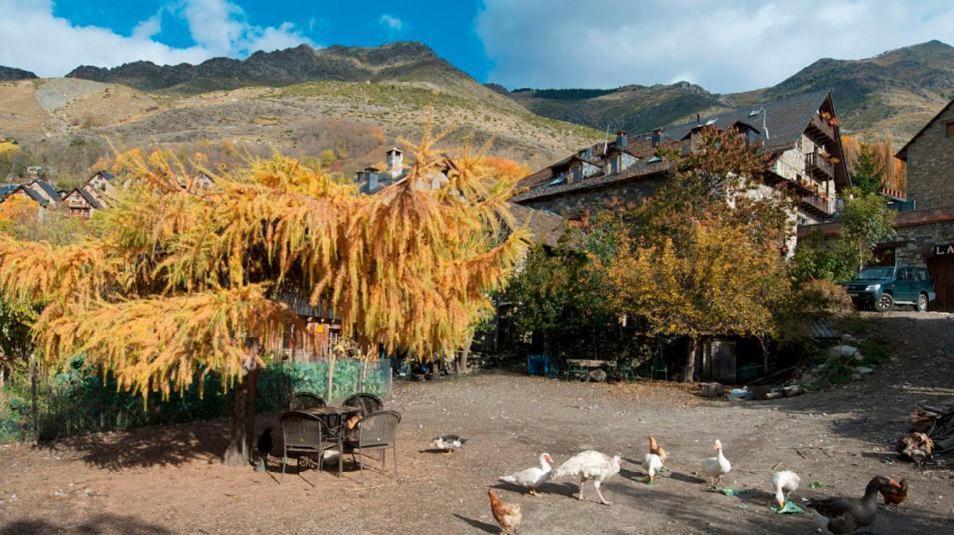 Casa Independiente Rural Ca De Corral Тауль Номер фото